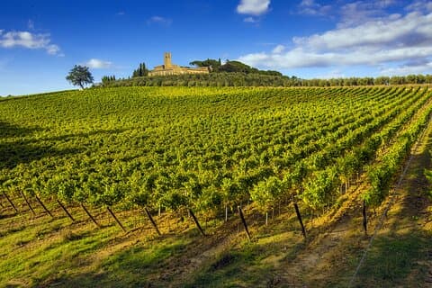 Tour enológico por la Toscana desde Florencia