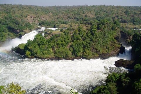 Safari 3 días en Murchison Falls Park