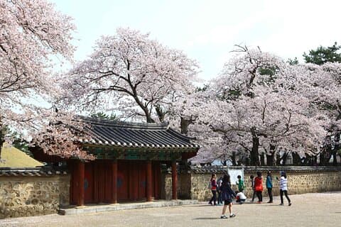 3-dagars Korea Eastern-kurs med K-shuttle Tour från Busan till Seoul