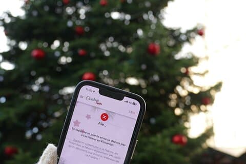 Jeu de piste insolite sur les marchés de Noël à Amiens