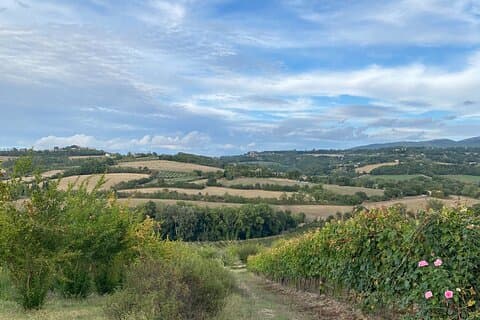 Upplevelser i Umbrien, Toscana och Marche
