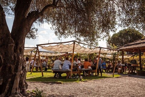 Besøk Kaiken vingård med lunsj på Francis Mallmann