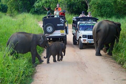 Sigiriya Ella Yala Galle | 9D Sri Lanka Private Tour from Colombo