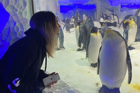 Private Tour : Auckland City, Aquarium, Sky Tower, Mt Eden & Wētā