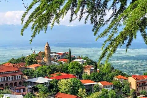 Tour di un giorno a Kakheti con degustazione di vini e Churchkhela gratuita