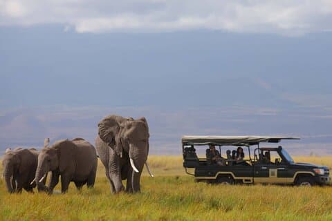 Two Days Amboseli National Park Safari