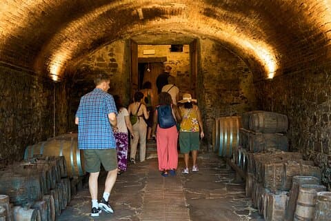Chianti vinresa med provningar Semi-privat upplevelse