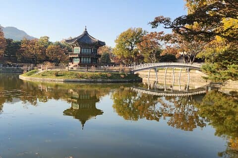 Tour privato personalizzabile di un'intera giornata a Seoul o DMZ o Nami Island
