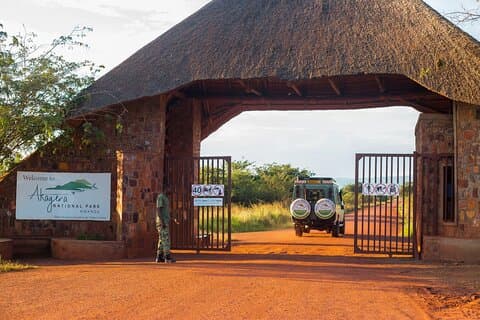 Safari et croisière en bateau au lever du soleil dans le parc national d'Akagera
