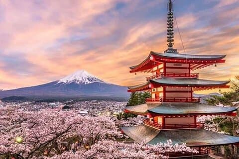 Visite privée de Fuji et Hakone avec guide anglais et photographie