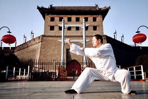 Privat dagstur med kinesisk kungfu og Terra-cotta Warriors