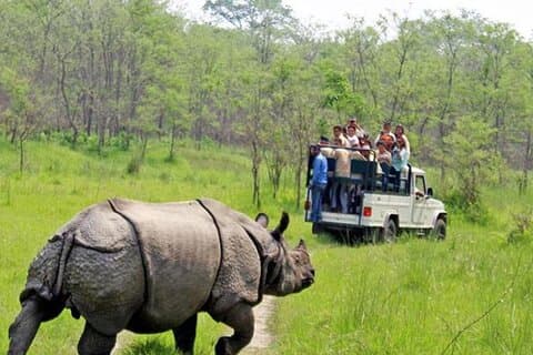 Kathmandu 2 Nights 3 Days Chitwan Jungle Safari Tour