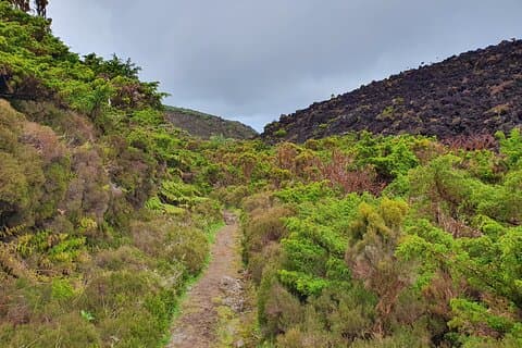 Isla Terceira : Mistérios Negros Caminata + Picnic + Biscoitos