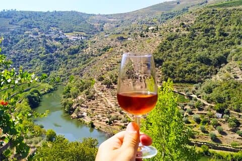 Douro Valley Day Trip: 2 vingårder, privat båt og autentisk lunsj