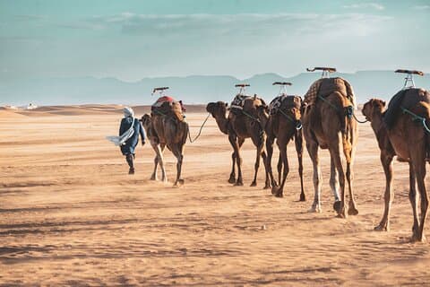 2 - Journée partagée dans le désert de Zagora au départ de Marrakech