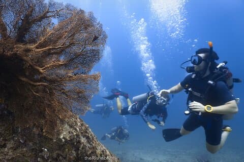 Fun Dive on Racha Islands (Certified Divers Only)