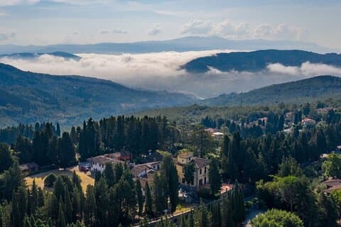 Olio evo sølvoplevelse på Frantoio Buonamici i Fiesole