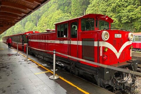Alishan, Sun Moon Lake, Taichung 3-dages tur fra Taipei