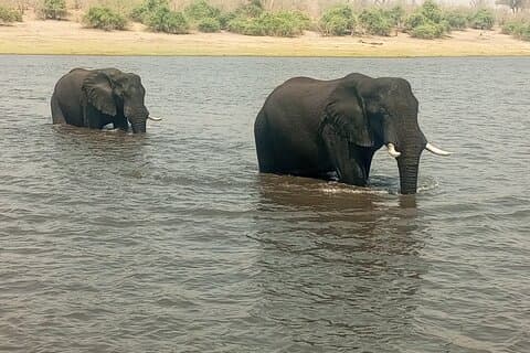 7-Day Vic-Falls, Chobe NP, Elephant Sands & Okavango Excursion