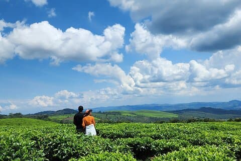 8-Day Rwanda Adventure: Gorilla Trek, Wildlife Safari & Lake Kivu