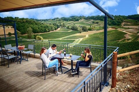 Saint-Emilion Grand Cru Classified: Gourmet Tour in French