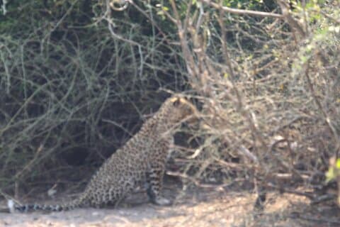 12 - Day Hwange、Victoria Falls、Chobe、Moremi & Okavango