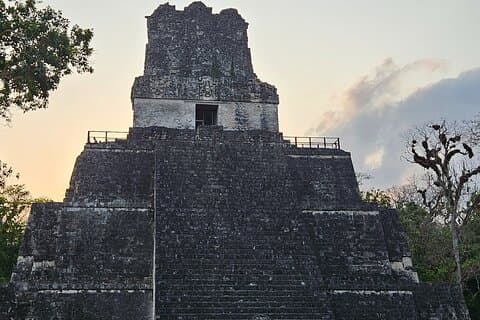 Tikal from Hotels in Flores, Airport, El Remate with Lunch