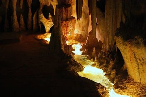Brisbane Tamborine Mountain Hop-On Hop-Off + Skywalk & Glow Worms