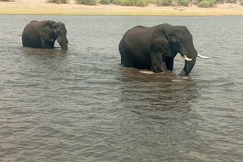 8-dagers Victoria Falls, Chobe nasjonalpark og Okavango Delta tur