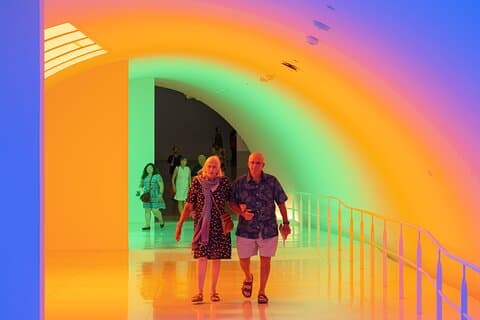 Museum of Fine Arts, Houston All Access Admission Ticket