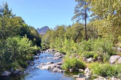 Sedona Oak Creek Canyon: Route 89A guidad naturskön tur