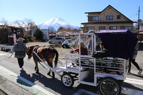 Horse Carriage Ride with Mt. Fuji Views
