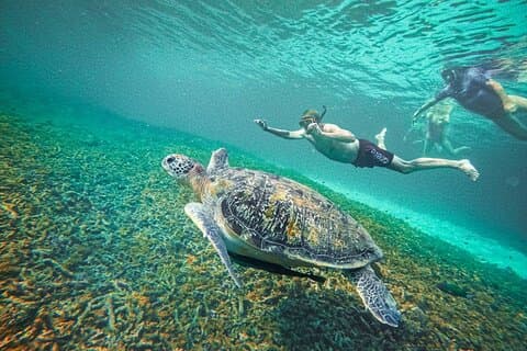 Ko Tao : Ko Nangyuan & Hidden Bays Tour de buceo con almuerzo
