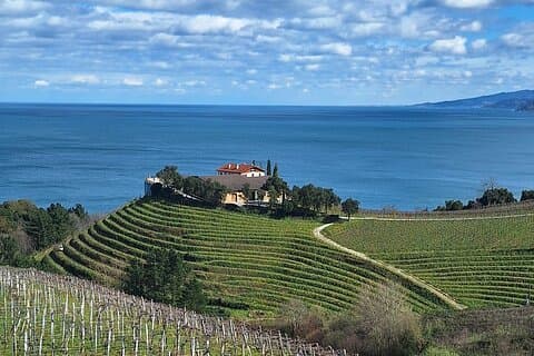 Privé Txakoli-wijntour door de kust vanuit San Sebastian