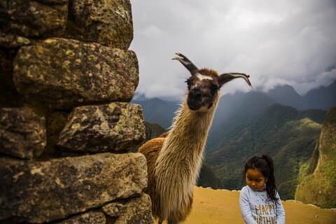 Heilige Vallei & Machu Picchu : 2-daagse reis
