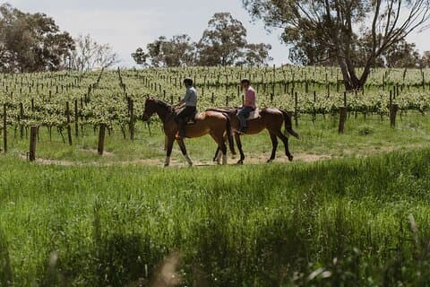 Promenade à cheval et dégustation de vin à Adelaide Hills Winery