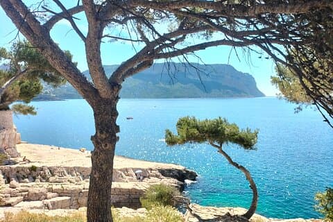 Half Day in Cassis : Calanques Boat Ride, Local Appetizers & Wine