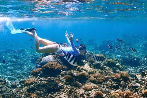Full-Day Racha Yai Private Scuba Diving Course