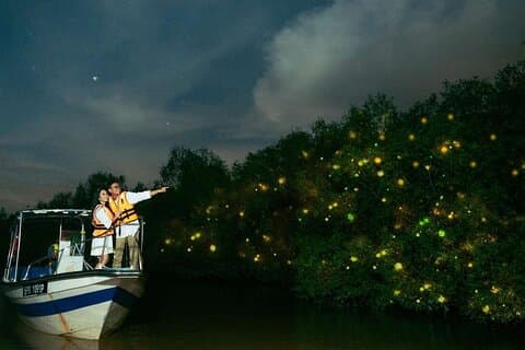 Nature’s Wonders: Kuala Selangor Fireflies & Hot Springs Tour