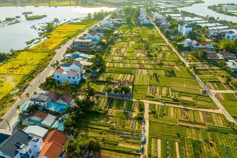Excursion d'une demi-journée à Hoi An