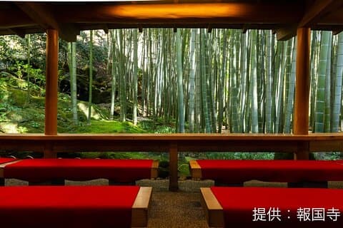Kamkura: Privé Zazen, Matcha bij Bamboo Temple & Mindful Cuisine