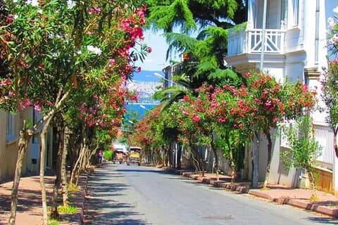 Princess Island (Büyükada)Tour with Lunch and Island Shuttle Trip