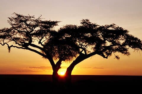 2 dager Hluhluwe Imfolozi Safari tur