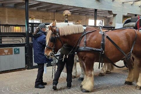 Carlsberg Stadtrundfahrt zum Geburtsort des dänischen Bieres
