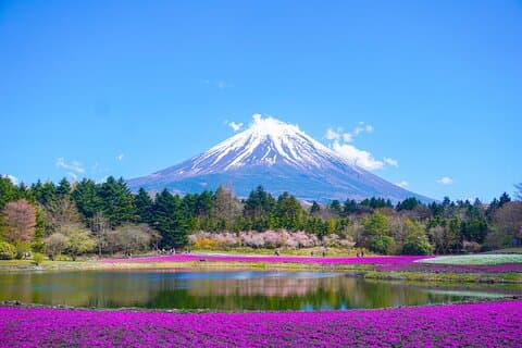 Excursión privada desde Yokohama: Mount Fuji y lago Kawaguchiko