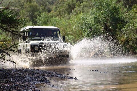 Jeep Safari dia inteiro