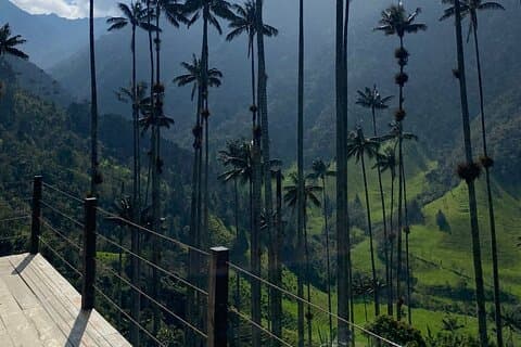 Cocora Valley Trekking Adventure with Typical Lunch