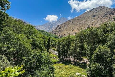 アトラス山脈オウリカ渓谷ツアー（ランチ付き）
