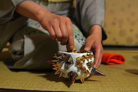 Osaka Senshu Tea Ceremony Experience Gofuso