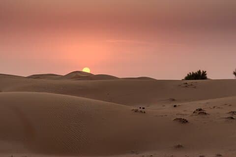 Dubai Desert Safari Dune Bashing, Camel Rides & BBQ Dinner .